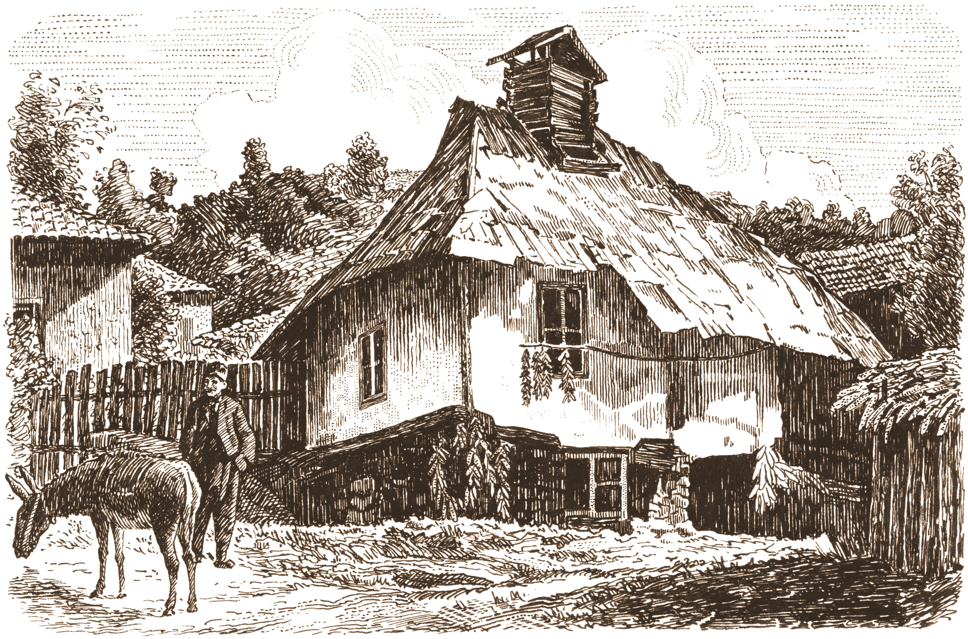 Grafik / Illustrationen & Zeichnungen