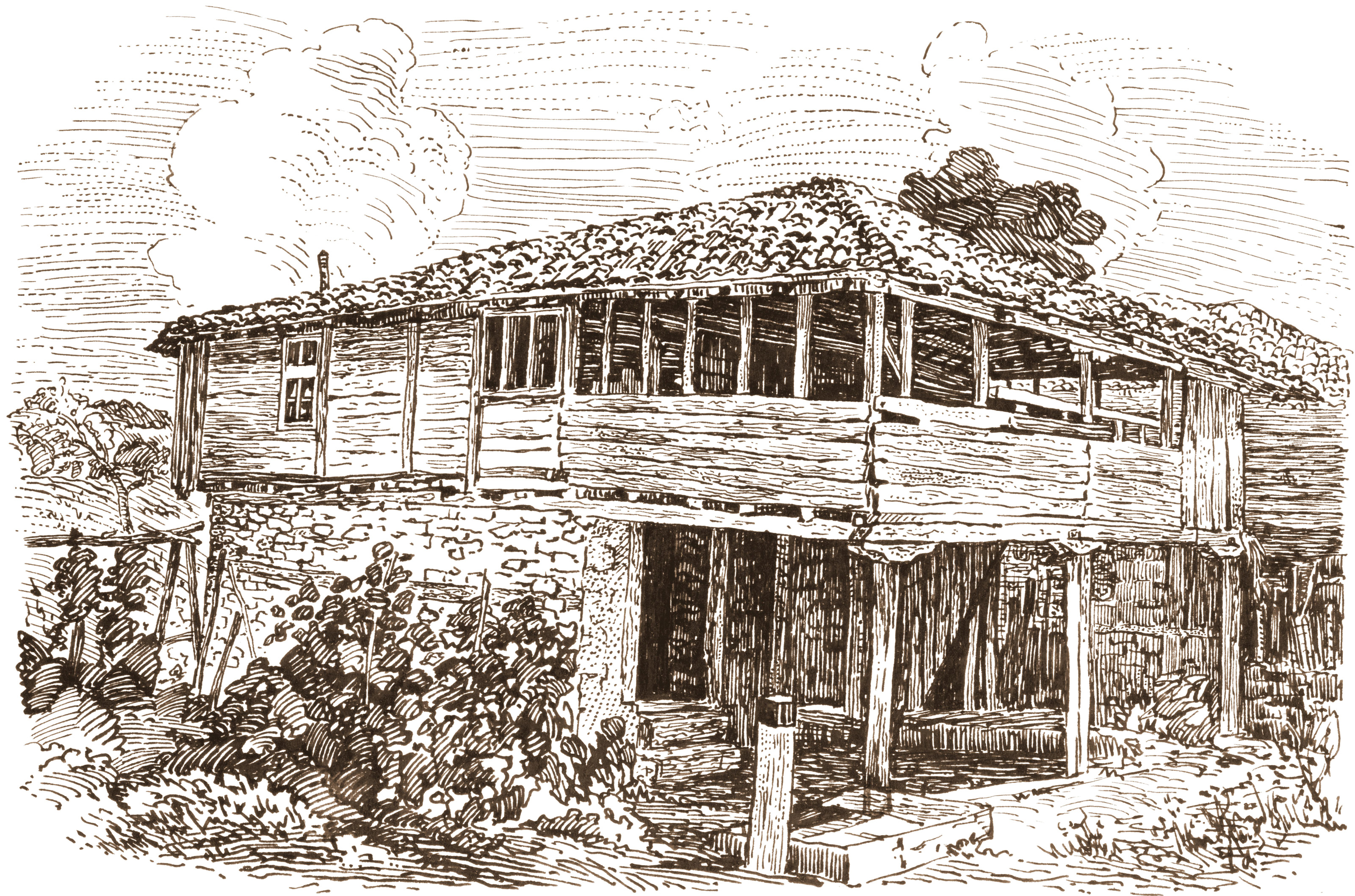 Grafik / Illustrationen & Zeichnungen