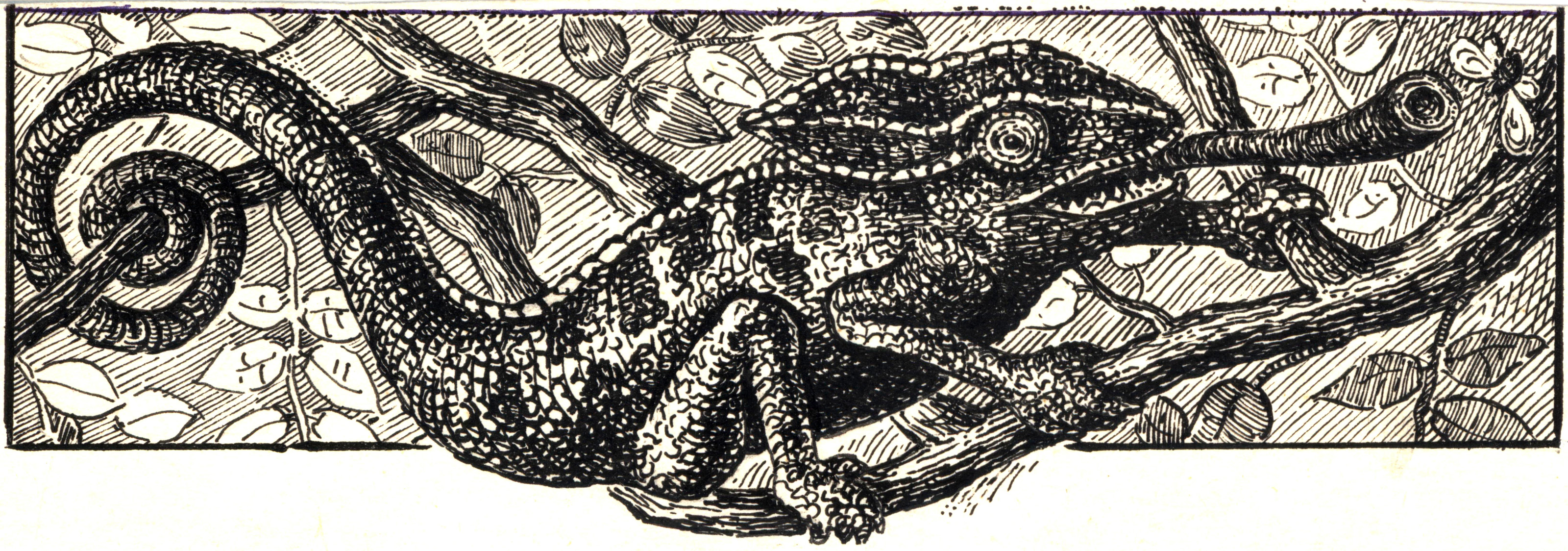 Grafik / Illustrationen & Zeichnungen