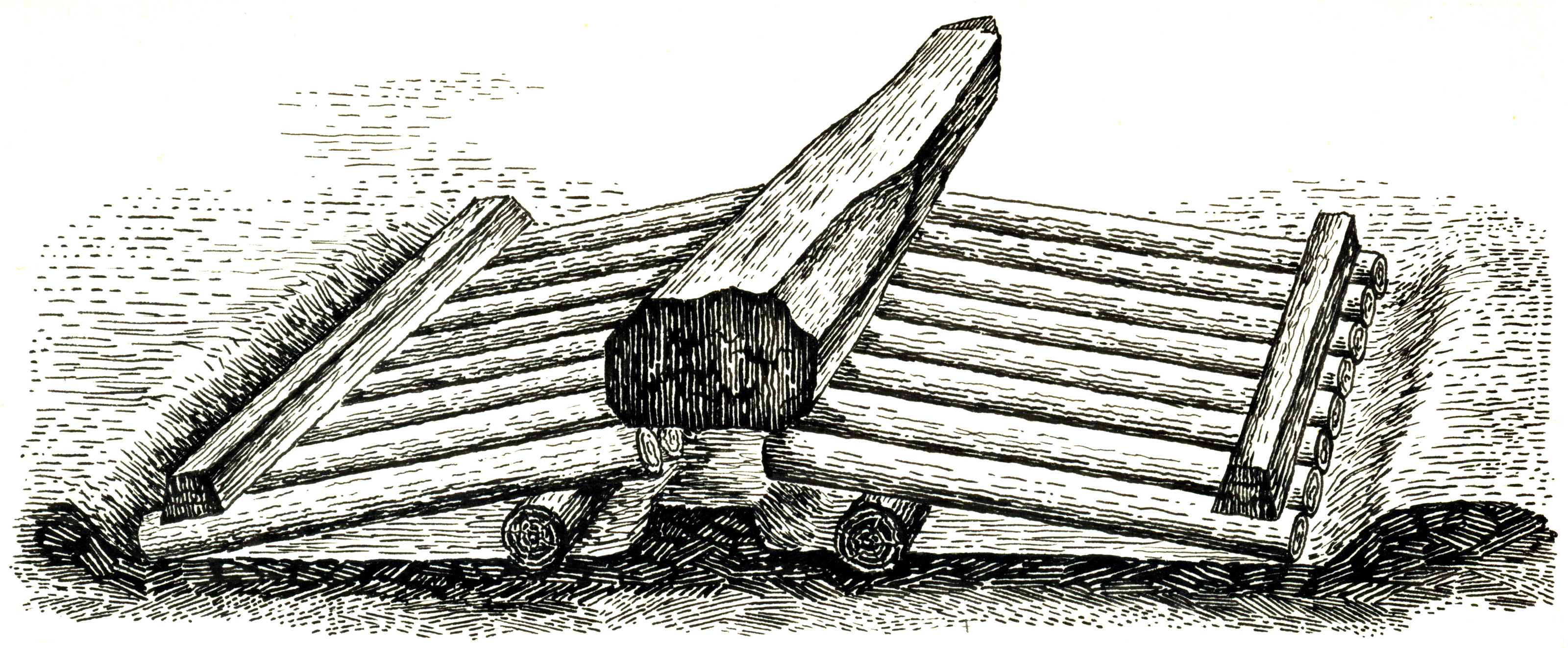 Grafik / Illustrationen & Zeichnungen